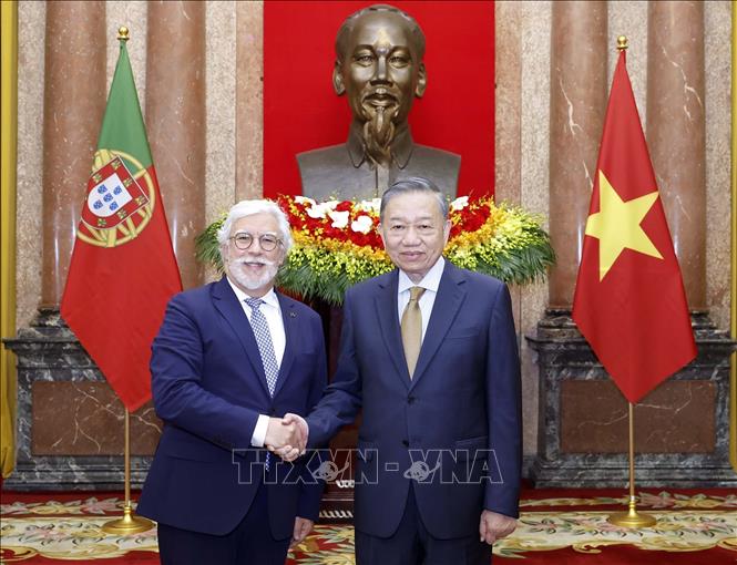 Tổng Bí thư, Chủ tịch nước Tô Lâm tiếp Đại sứ các nước trình Quốc thư